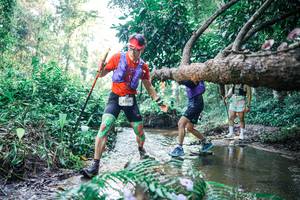 BIB: 
                            <button type="button" onclick="openModal(25439264)" class="btn btn-primary btn-sm float-right btn-popup" data-toggle="modal" data-target=".modal-high-quality">
                        <i class="fas fa-shopping-cart"></i> Add to Cart
                    </button>
                                            <button type="button" onclick="isThisMe(25439264, true)" class="btn btn-success btn-sm float-right btn-popup btn-isme hidden" data-toggle="tooltip" data-placement="bottom" title="นี่คือรูปของคุณใช่ไหม คลิกที่นี่เพื่อเอาเข้าอัลบั้ม">
                        <i class="fas fa-plus"></i> Add to album
                    </button>
                    <button type="button" onclick="isThisMe(25439264, false)" class="btn btn-warning btn-sm float-right btn-popup btn-isnotme hidden">
                        <i class="fas fa-ban"></i> Remove from album
                    </button>